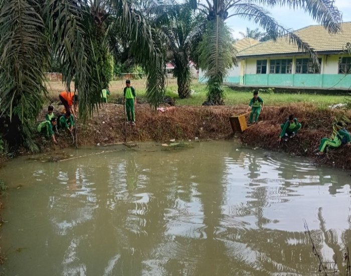 Kolam, Siapa Mau Mandi dan Menyelam?