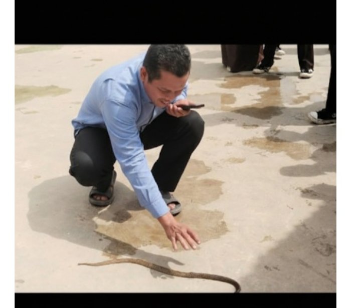 ASAS Hari Ketiga, Waka Humas Tangkap Ular Berbisa